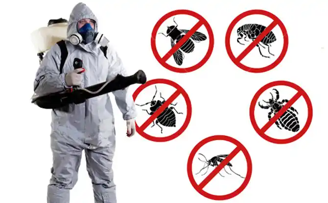 pest control Churchville